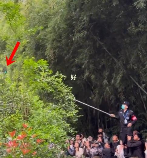 保安員發現立即找來長杆將無人機擊落,現場遊客齊聲歡呼大讚:「漂亮」。(微博)