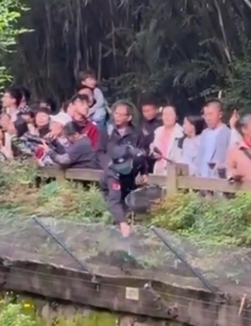 保安員發現立即找來長杆將無人機擊落,現場遊客齊聲歡呼大讚:「漂亮」。(微博)