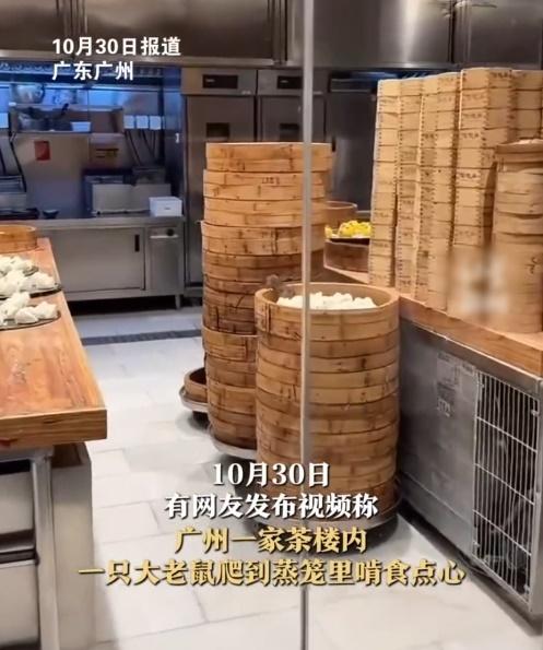 一隻老鼠正趴在蒸籠上肆無忌憚地啃食叉燒包。(微博)
