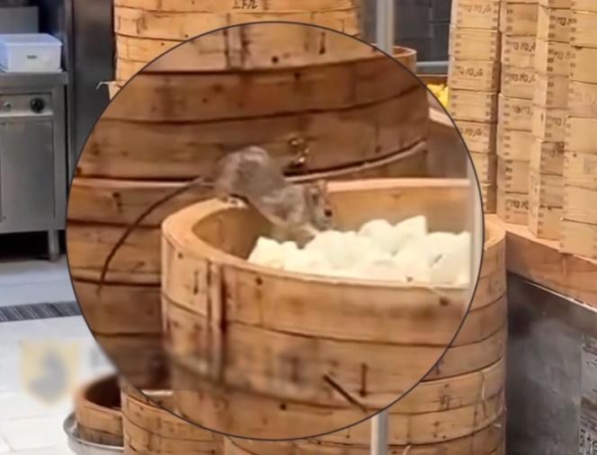 一隻老鼠正趴在蒸籠上肆無忌憚地啃食叉燒包。(微博)