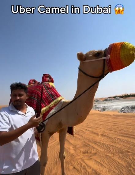男子還介紹說,他就是「開」駱駝維生,經常在沙漠幫助迷路的人。(IG)