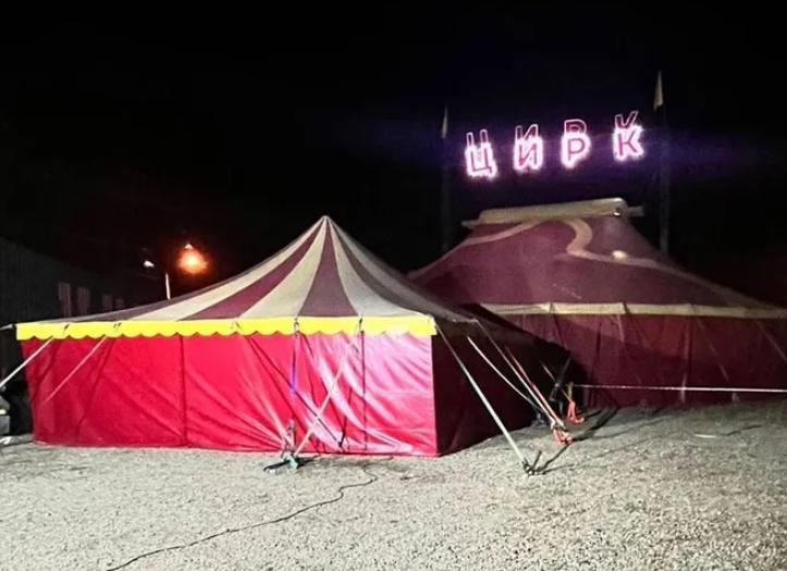 涉事馬戲團「Wild Drive」。(X)