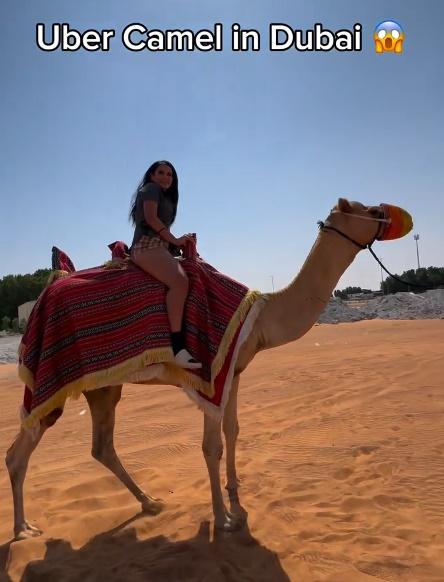 之後女子騎上駱駝起行。(IG)