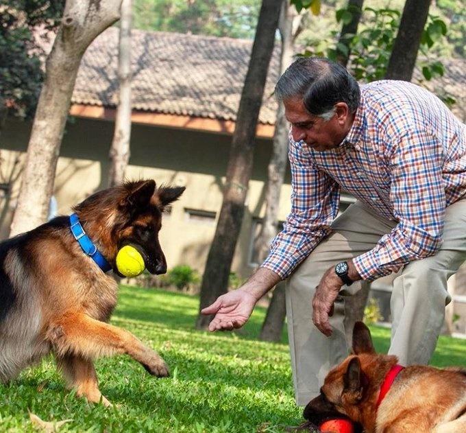 Ratan最喜歡的是德國牧羊犬,所養的兩隻都命名為「Tito」,第一隻已經過世,第二隻Tito則在6年前被收養。(X)