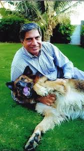 Ratan第一隻德國牧羊犬Tito已經過世。(X)