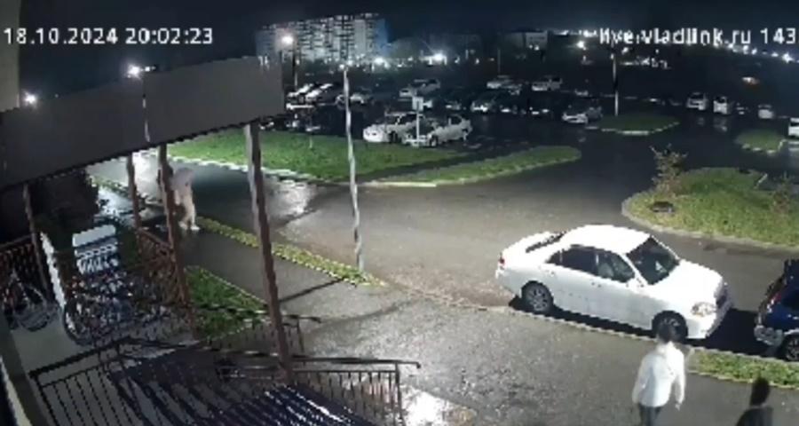 當時有幾名路人正走在大廈外行人路上。(X)