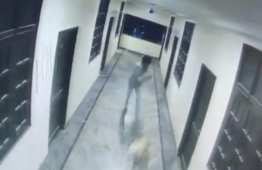 Uday原先似乎想把狗趕走,但隨後與狗開始追逐嬉戲。(X)