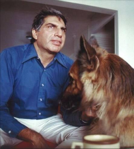 Ratan第一隻德國牧羊犬Tito已經過世。(X)