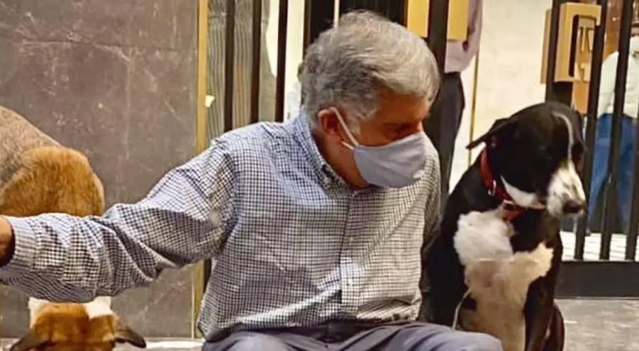 Ratan生前非常喜歡狗,對救助流浪狗盡心盡力,辦公室有不少狗陪伴他上班。(X)