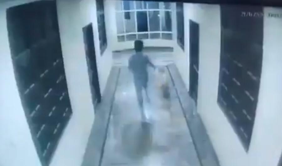 Uday原先似乎想把狗趕走,但隨後與狗開始追逐嬉戲。(X)