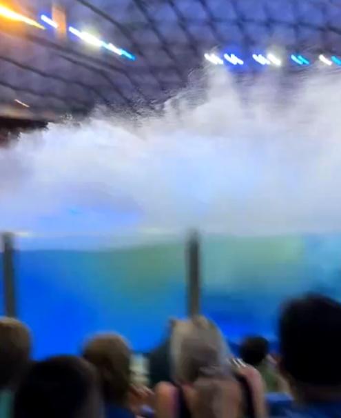 殺人鯨激起大浪,連帶有排泄物的池水池邊,灑向觀眾席。(X)