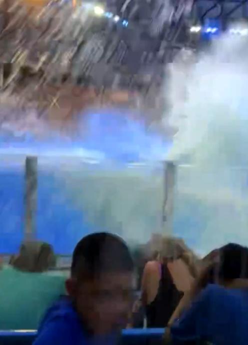 殺人鯨激起大浪,連帶有排泄物的池水池邊,灑向觀眾席。(X)