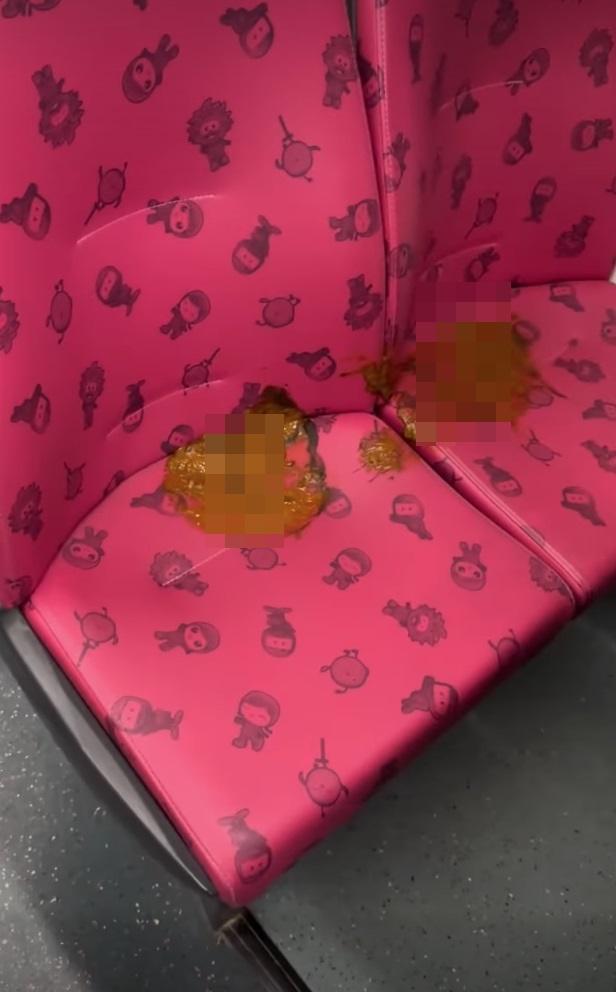 巴士座位疑現「泥漿型」大便 旁邊乘客舉動成焦點。(網片截圖)