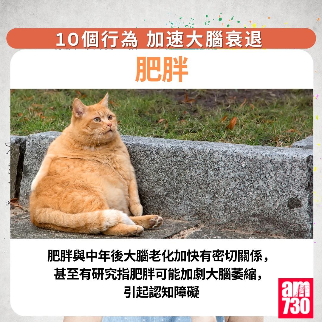 10個行為加速大腦衰退|肥胖(am730製圖)