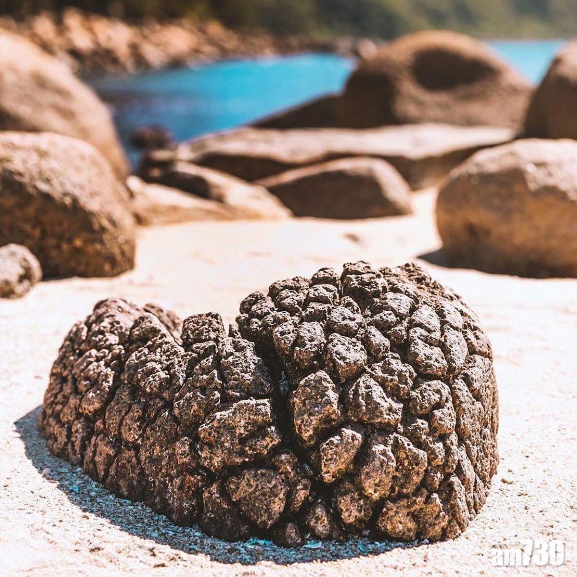 秋天郊遊|橋咀洲「菠蘿包石」外型獨特。