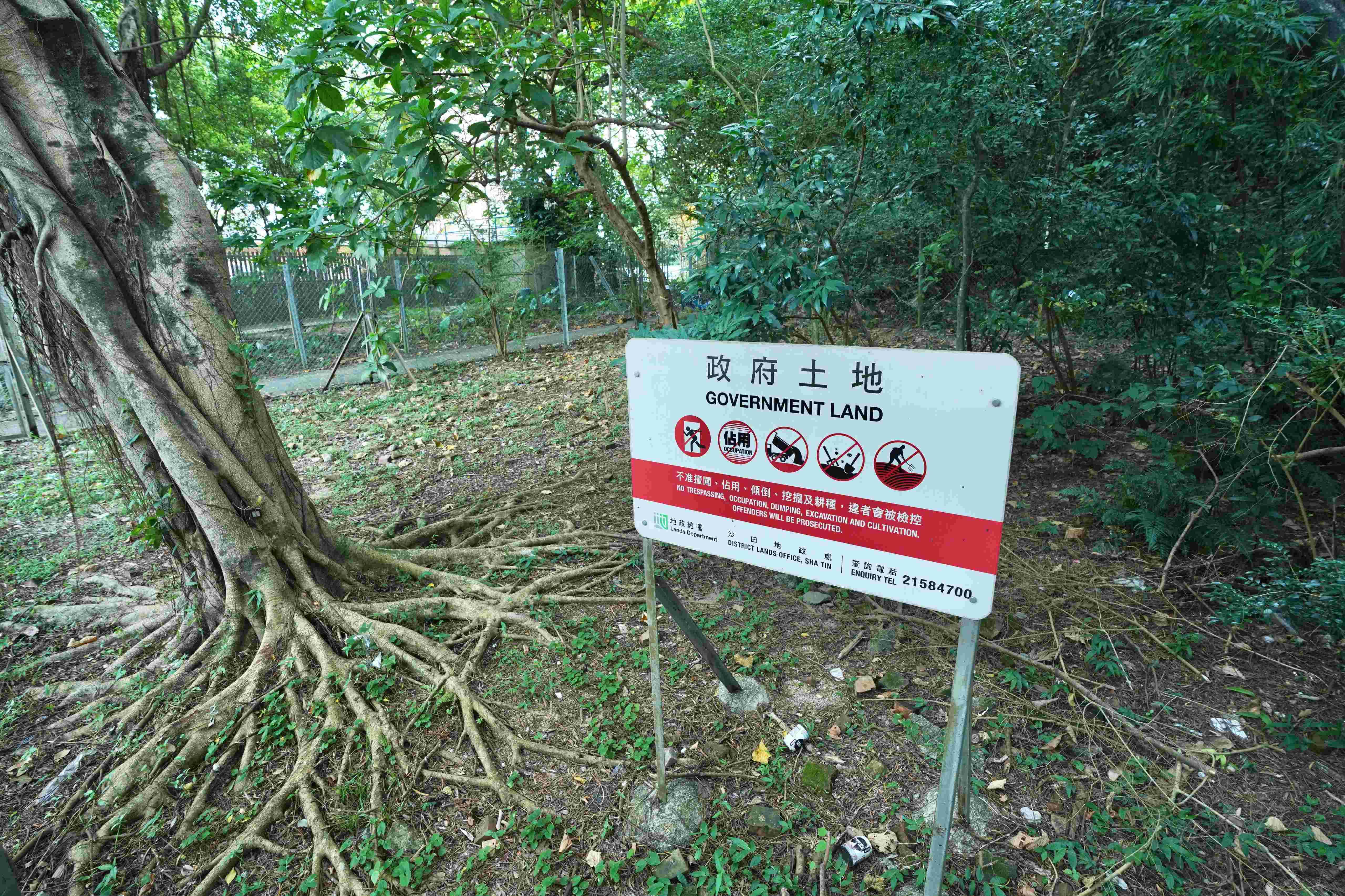 賣地 沙田市地段第651號 沙田大圍美田路