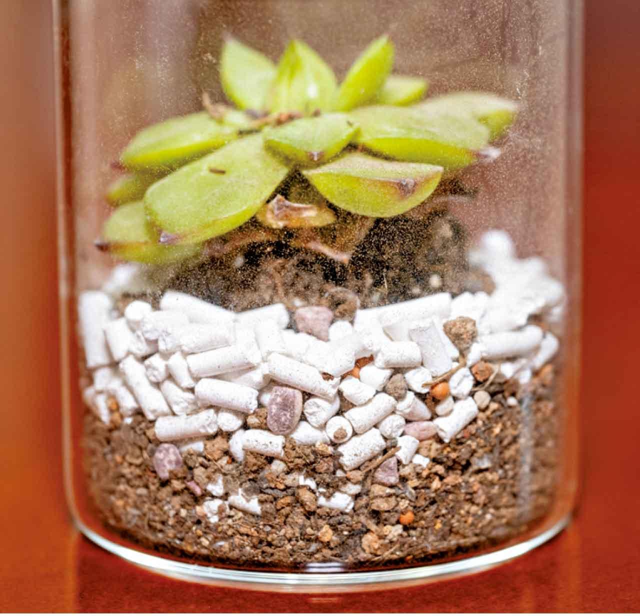 香港上海大酒店 真生活至尊品牌大獎2024