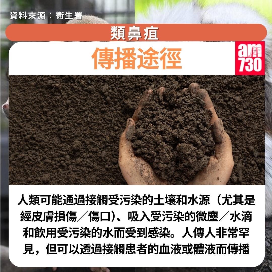 類鼻疽症狀及預防方法|傳播途徑(am730製圖)