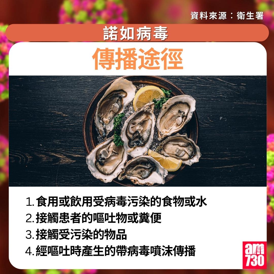 諾如病毒症狀/潛伏期/治理/預防方法一文睇清|傳播途徑(am730製圖)