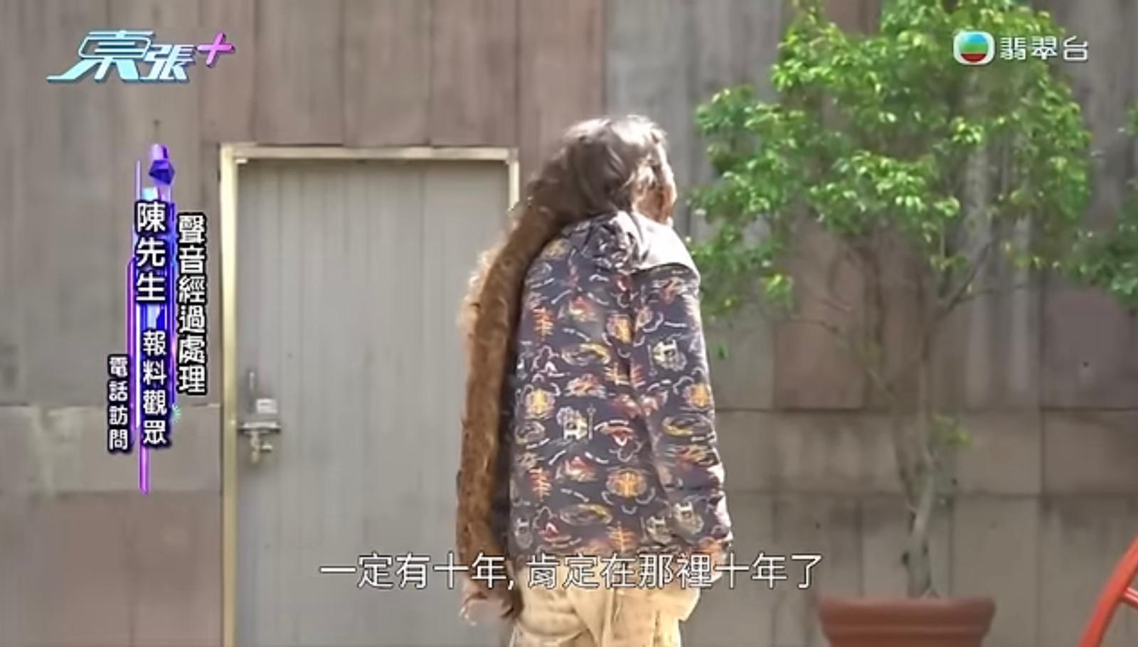 《東張西望》截圖 東張+ YouTube頻道