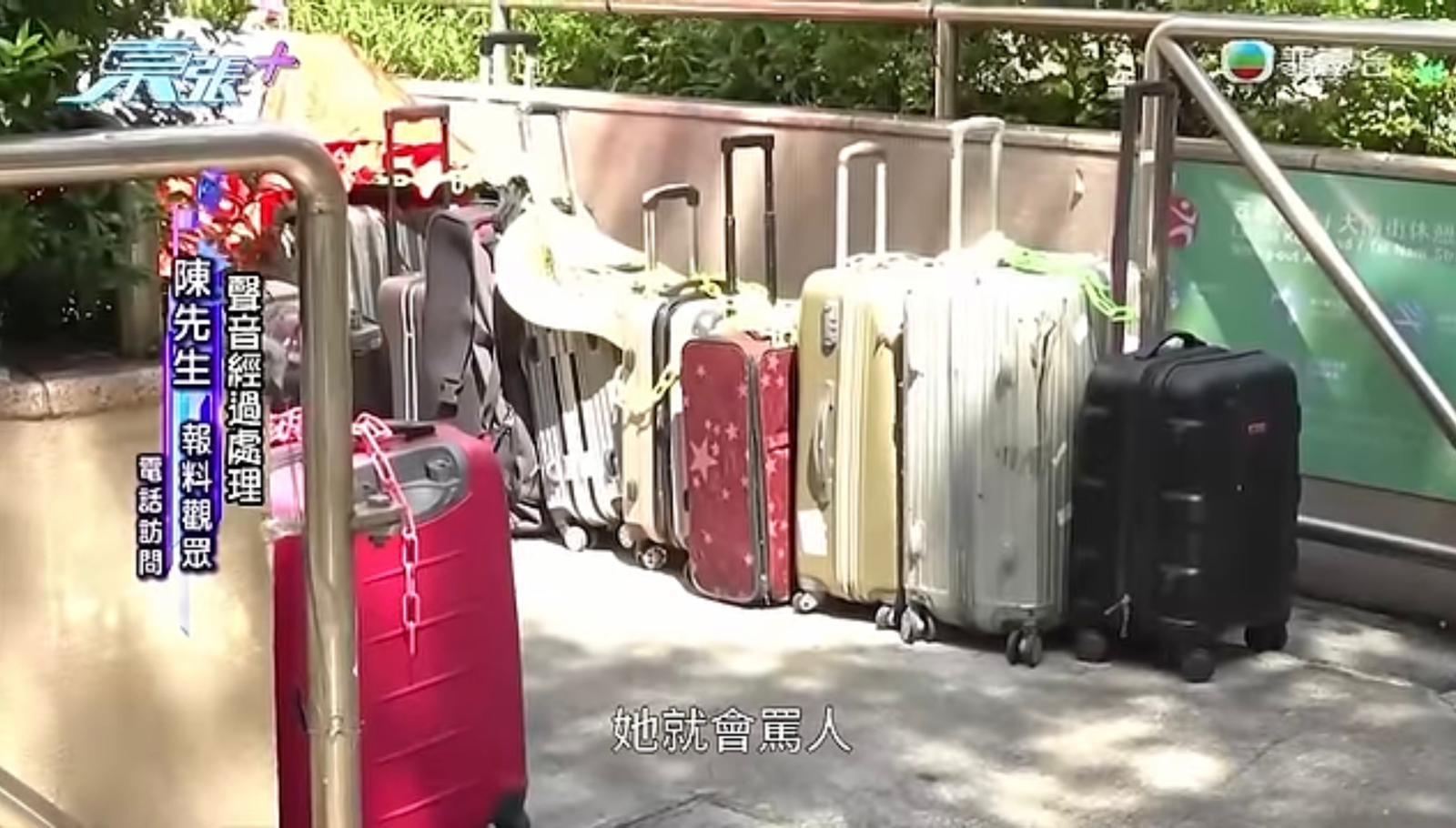 《東張西望》截圖 東張+ YouTube頻道