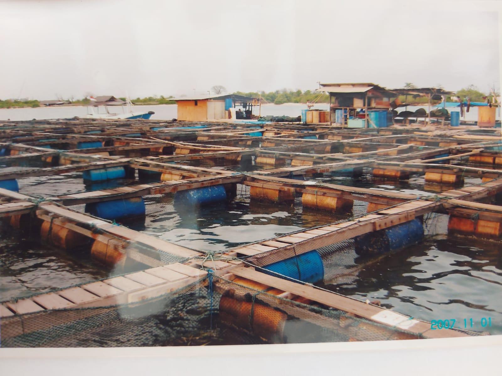 在印尼自設魚排儲存捕獲的活海產。(Leo提供相片)