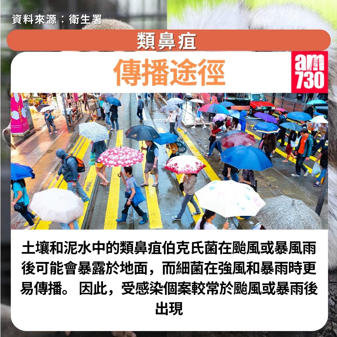 類鼻疽症狀及預防方法|傳播途徑(am730製圖)