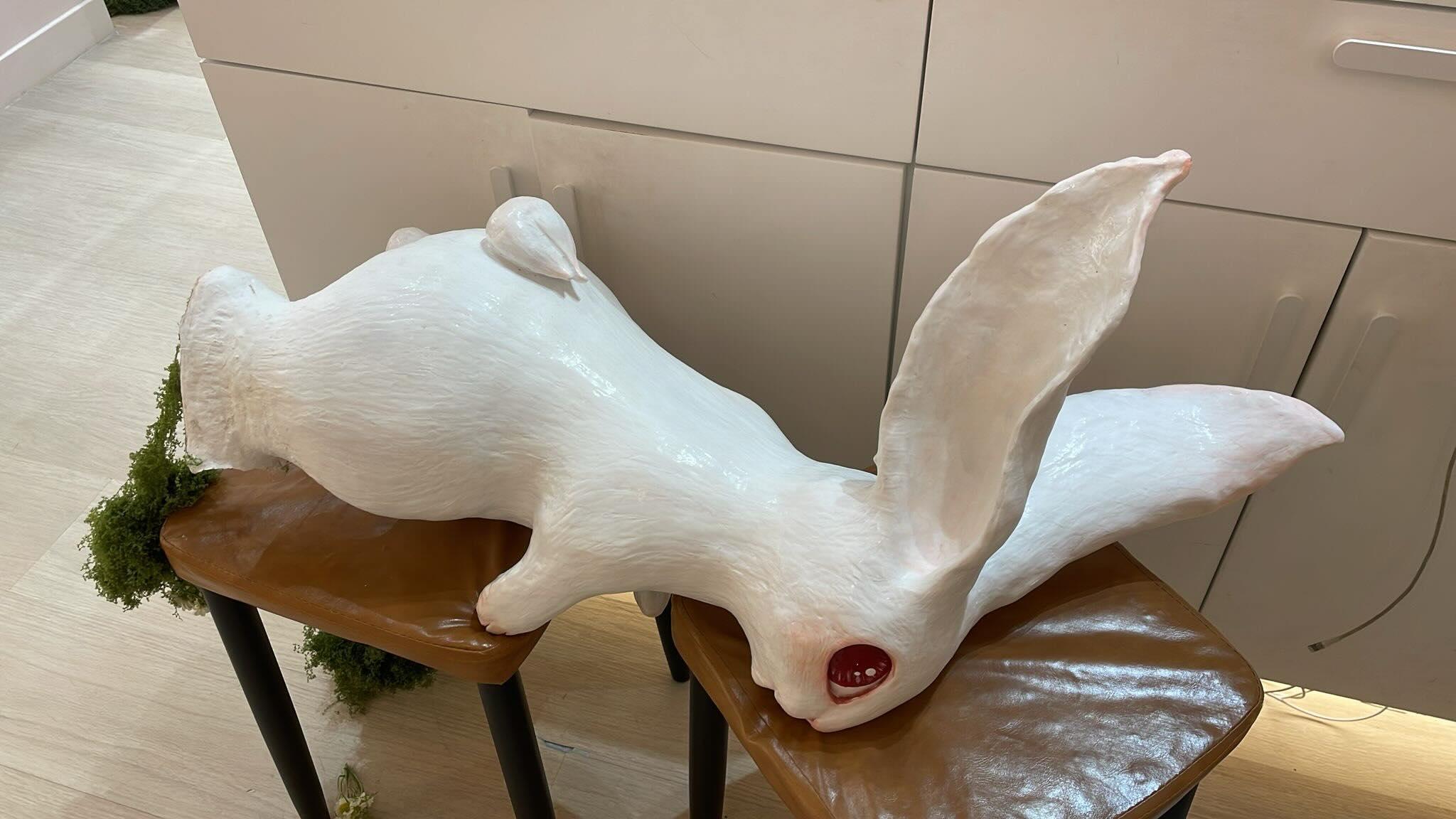 尖沙咀K11 MUSEA一間首飾店擺放了一隻標價3.8萬元的兔子陶瓷雕塑,惟店方發布照片及監控影片,可見兔子被「弄斷」雙腳,涉及一名成年人及兩名小孩。(Threads)