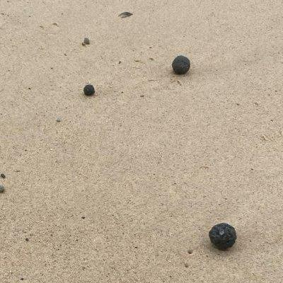 澳洲悉尼庫吉海灘(Coogee)出現幾百粒「神秘小黑球」。(Randwick City Council FB)