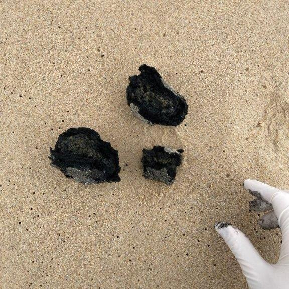 澳洲悉尼庫吉海灘(Coogee)部分「神秘小黑球」已碎掉。(Randwick City Council FB)