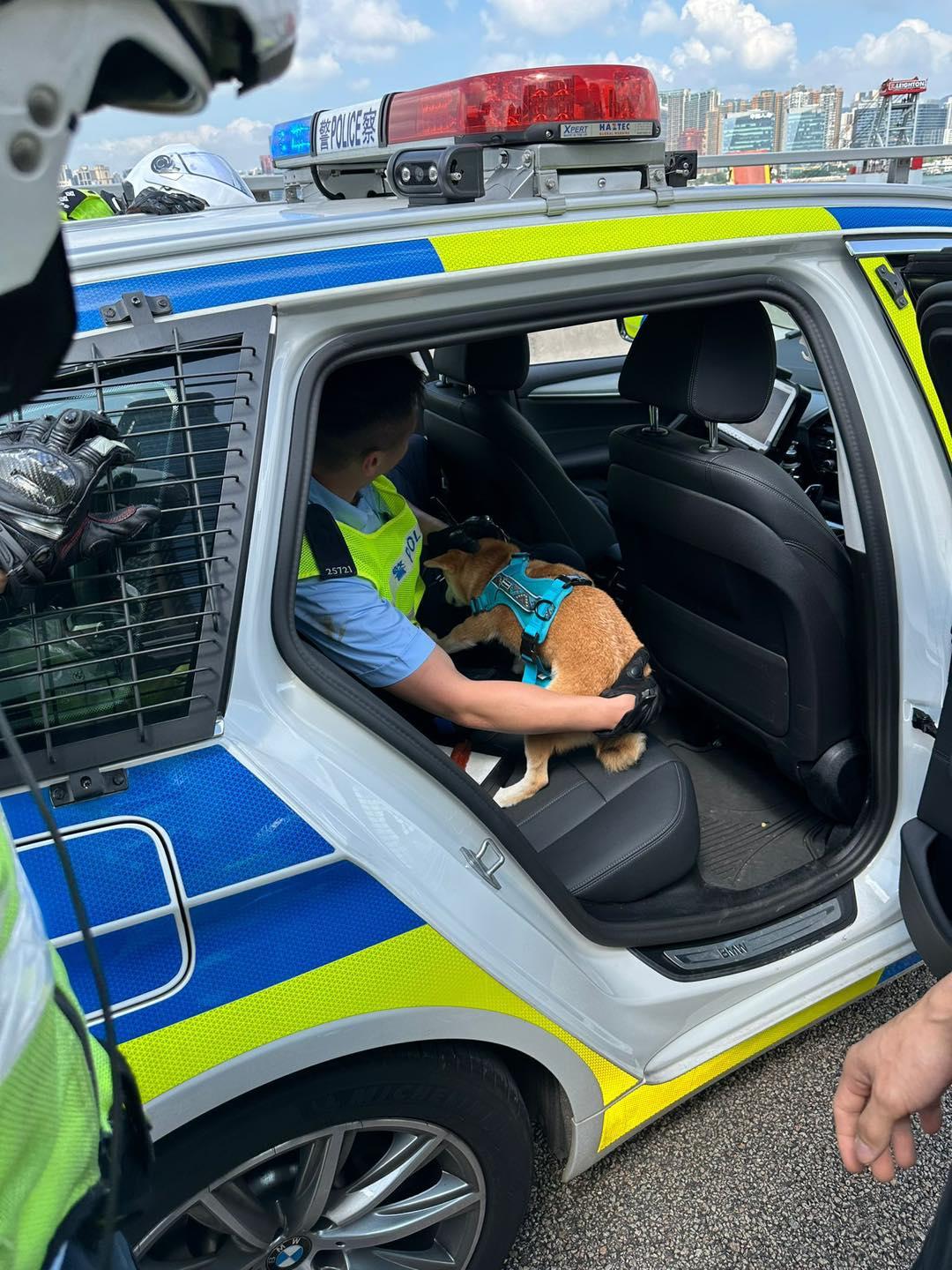 警方接報到場指示現場車輛減速,並封鎖一條行車線,最終與熱心市民合作,在泥頭車底救出柴犬。(警方圖片)