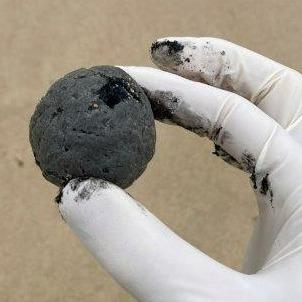 澳洲悉尼庫吉海灘(Coogee)「神秘小黑球」大細接近乒乓球。(Randwick City Council FB)