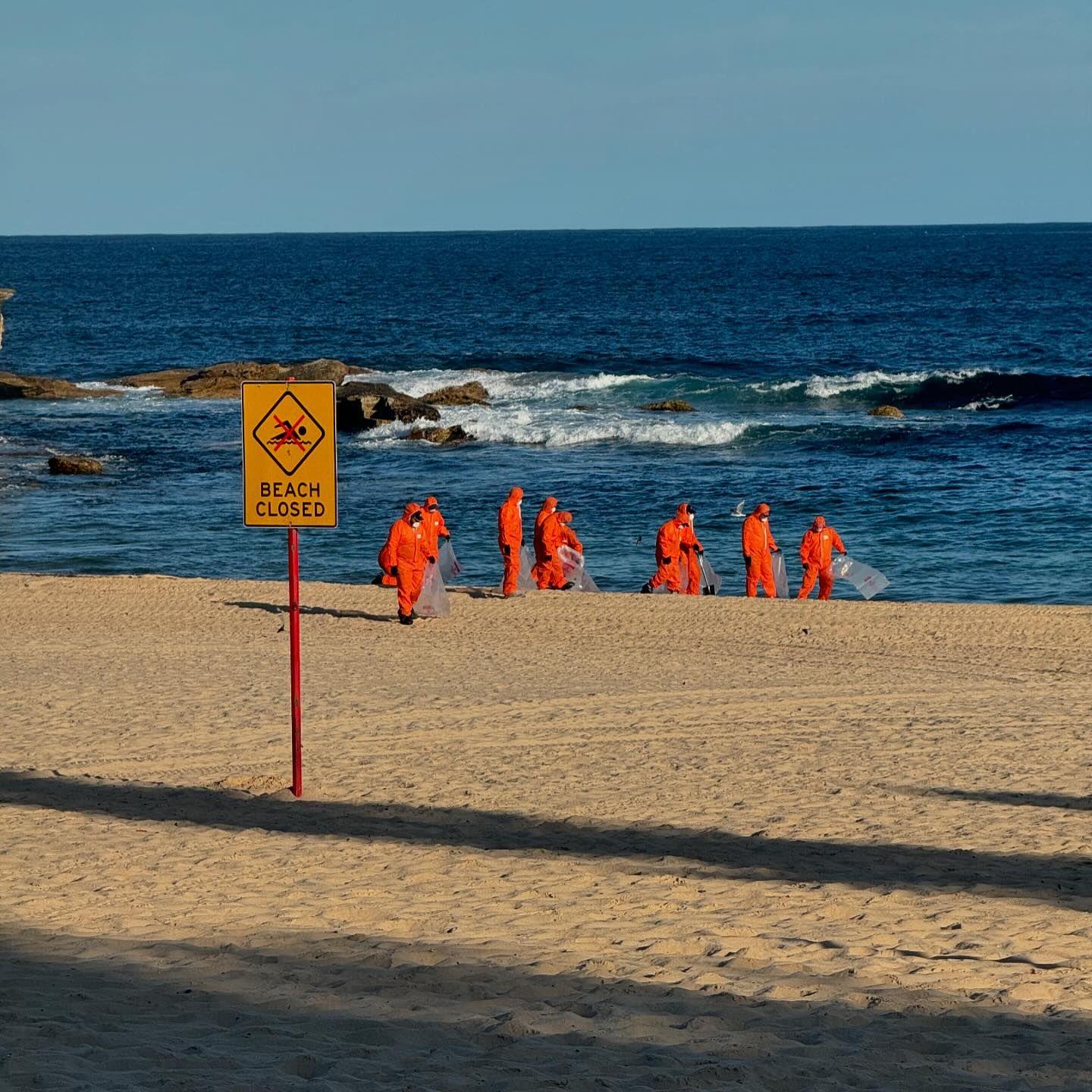 澳洲當局仍正在清理庫吉海灘(Coogee)的焦油球。(Randwick City Council FB)