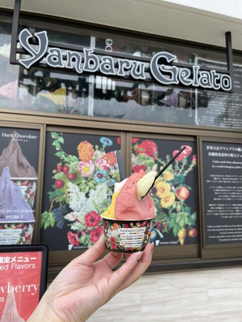 沖繩超人氣意式雪糕店Yanbaru Gelato(Tabelog網上圖片)