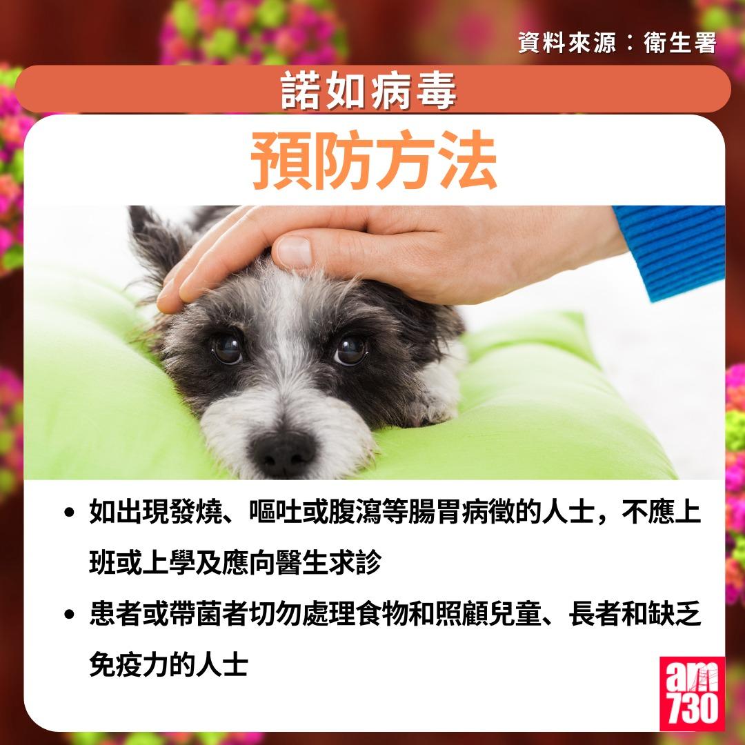 諾如病毒症狀/潛伏期/治理/預防方法一文睇清|預防方法(am730製圖)