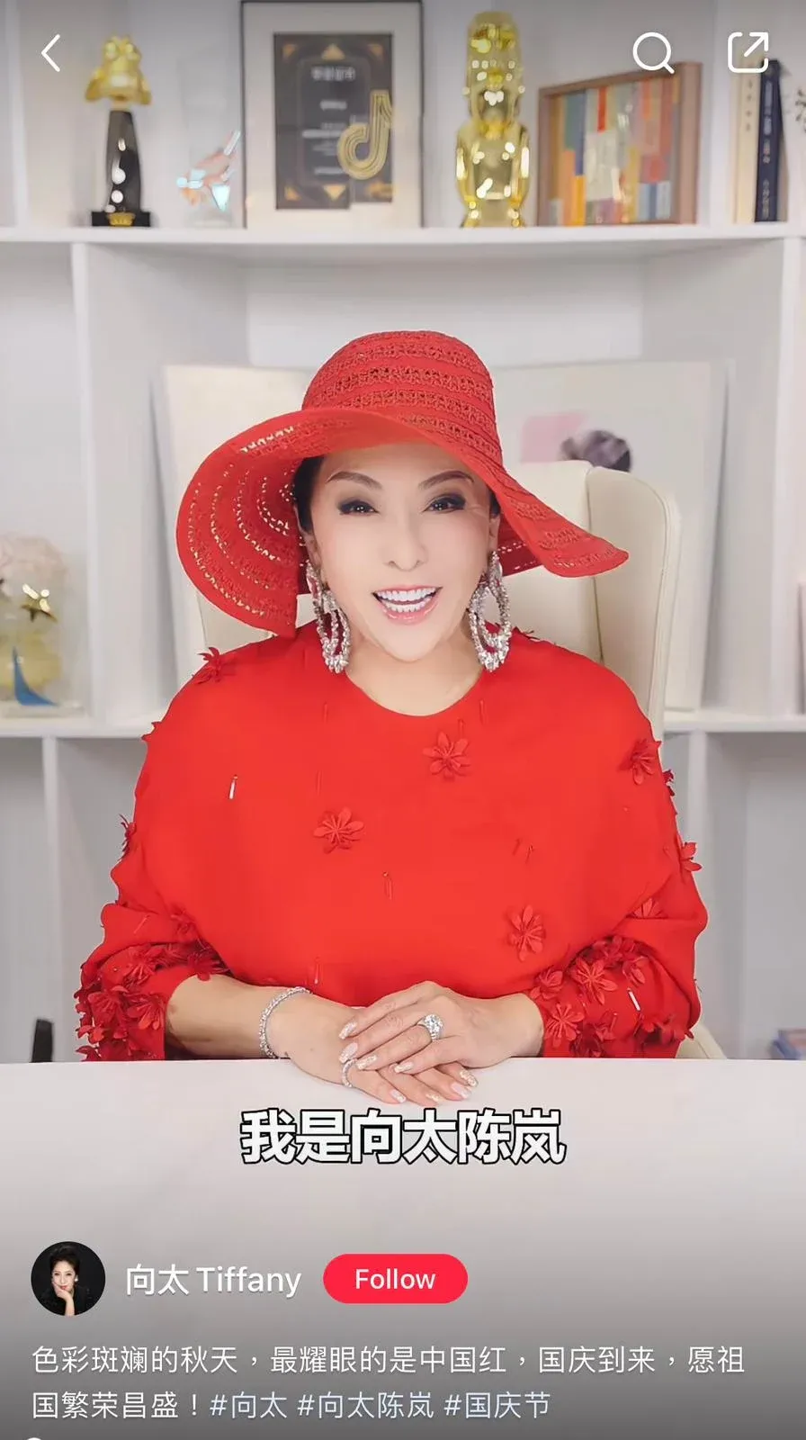 向華強老婆陳嵐罕有提及自己身世 自爆小六開始打工賺生活費 遭父母逼做舞女