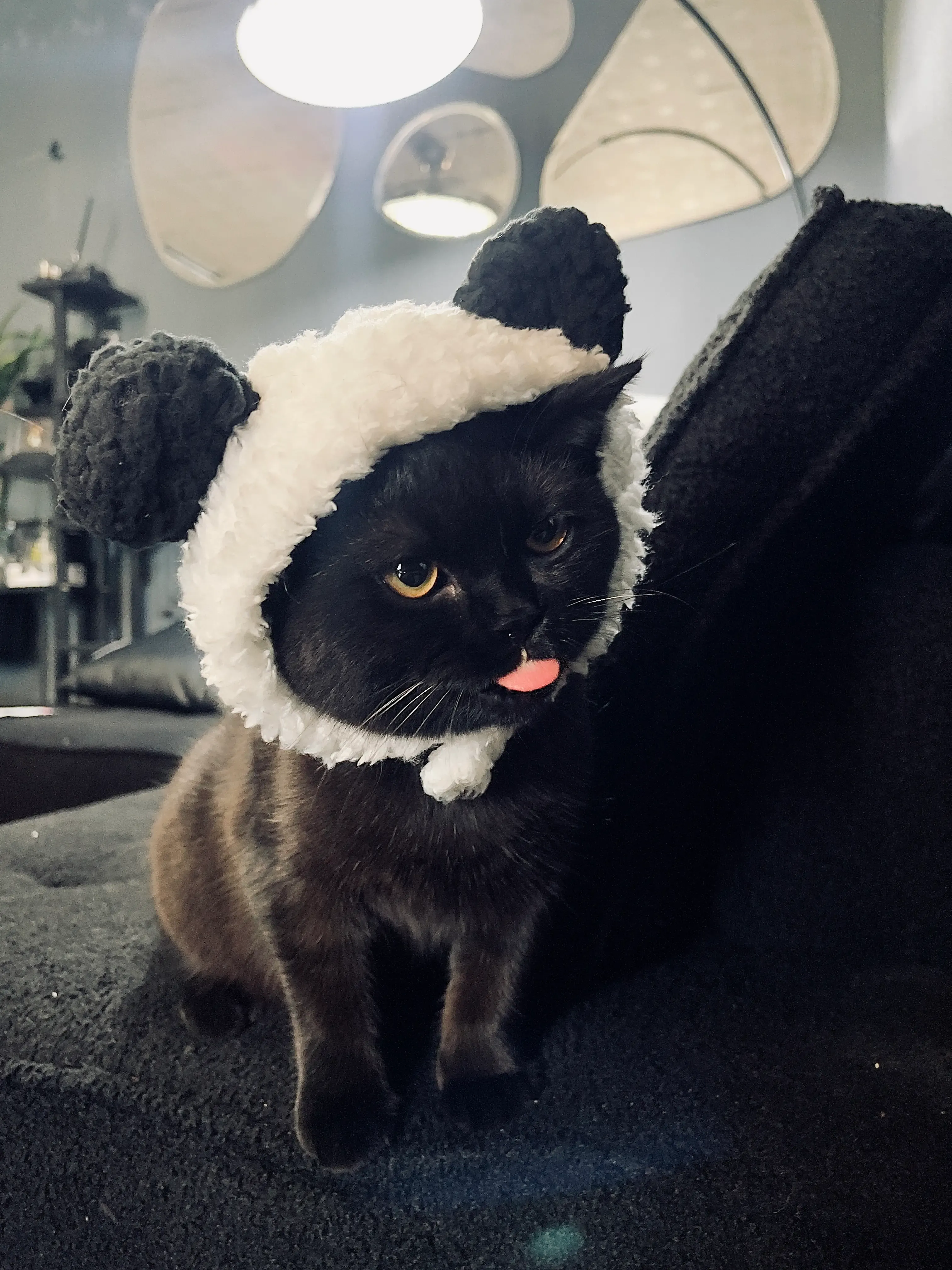 圖片來源:LIHKG討論區