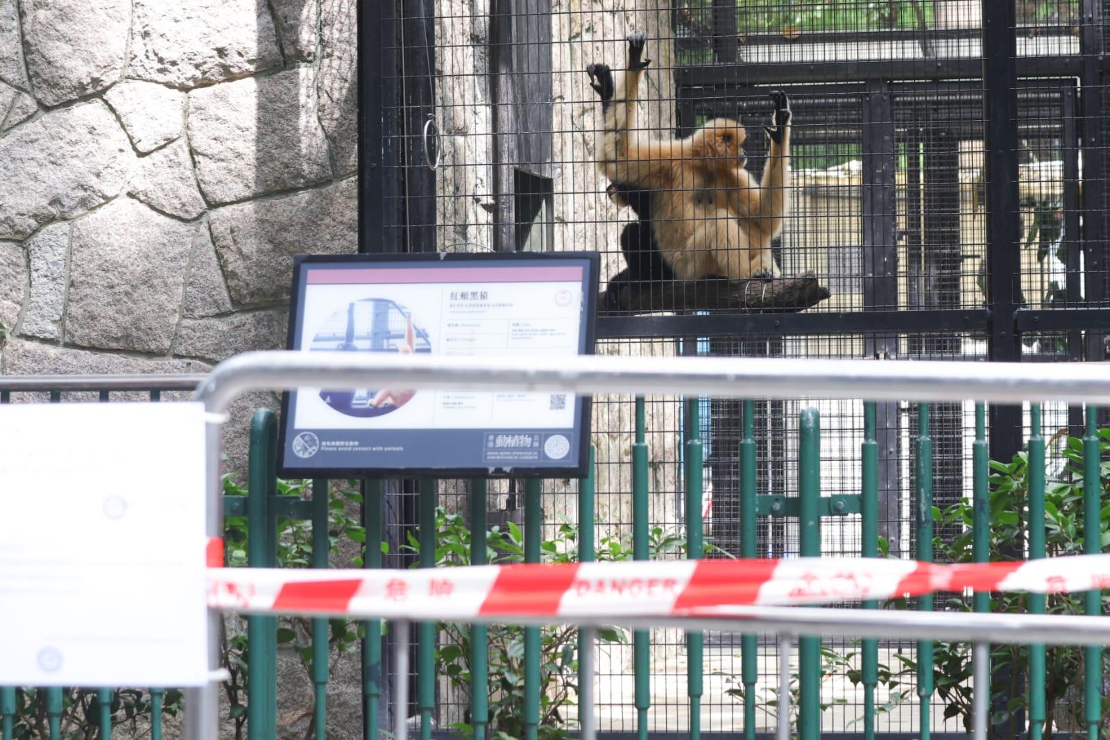 公園內哺乳類動物區範圍已用膠帶圍封,仍見猴子等哺乳類動物在籠內。(吳康琦攝)