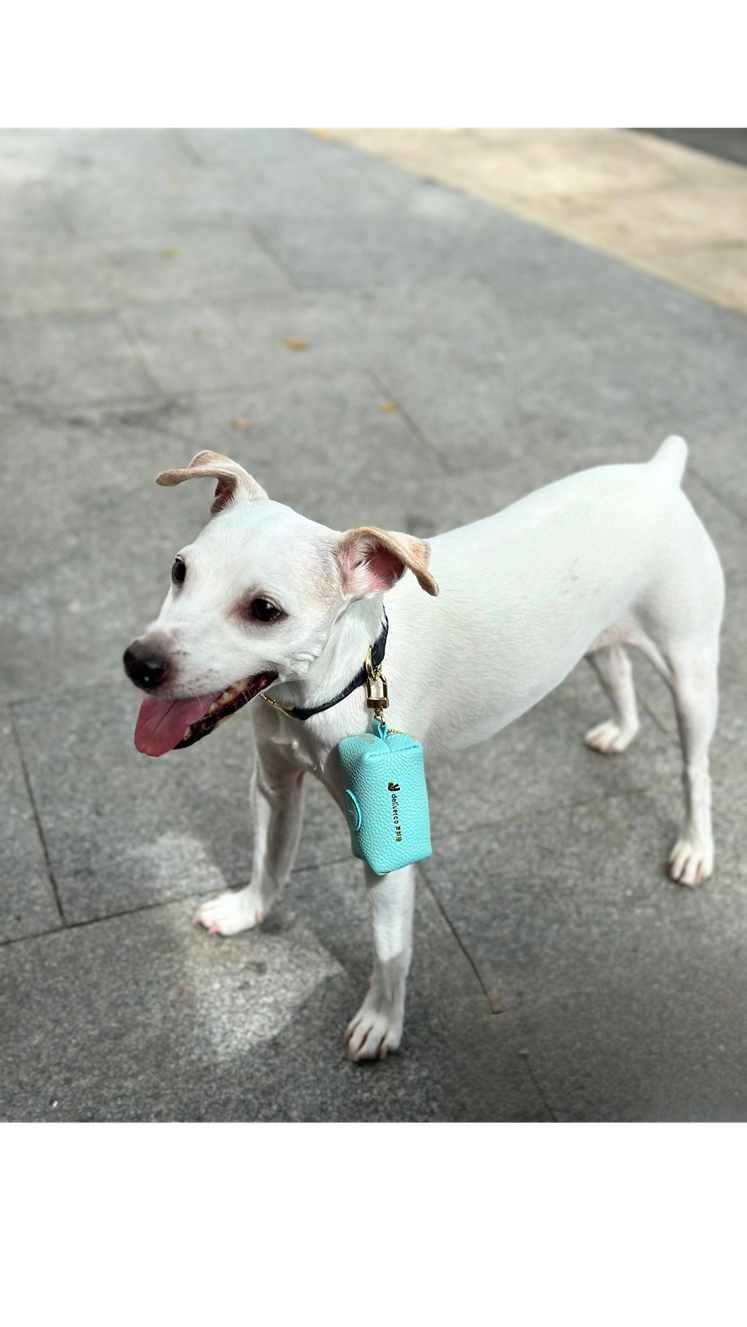 精美皮革寵物收納袋