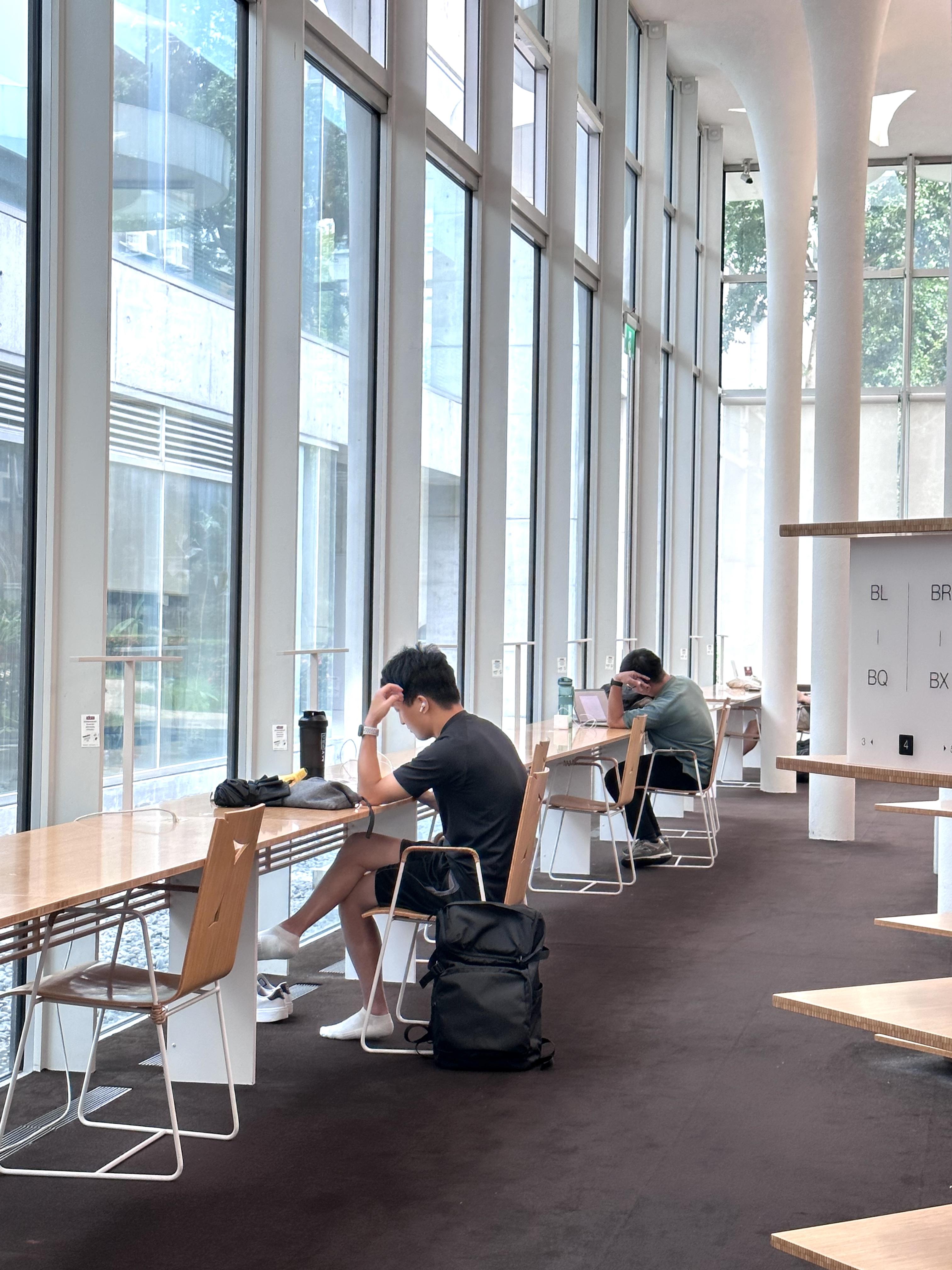 自然光線從天窗和落地窗灑落,圖書館只在雨天才需開燈。