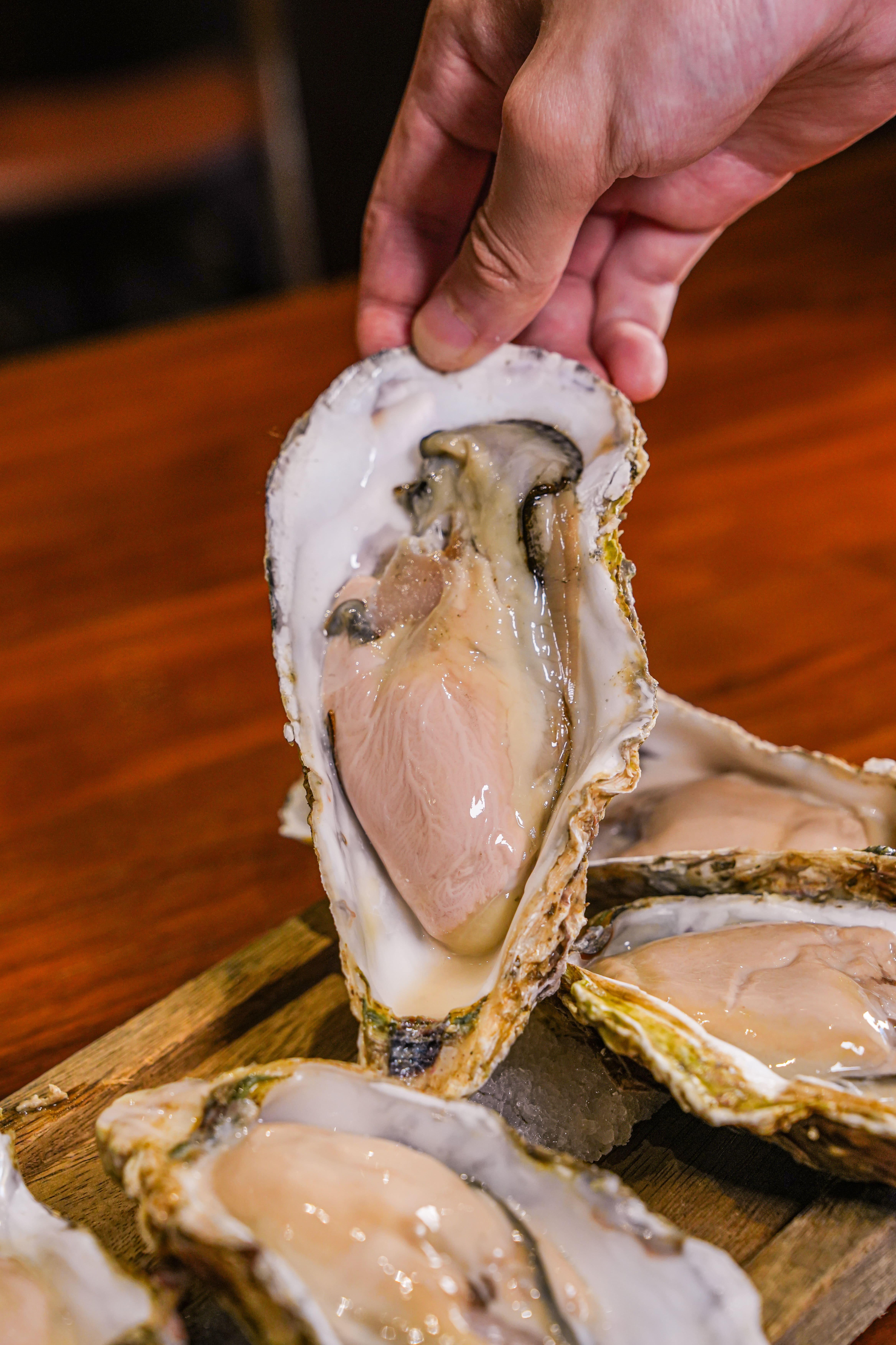 北海道仙鳳趾生蠔大隻肥美飽滿,帶有海洋甘甜鮮味。