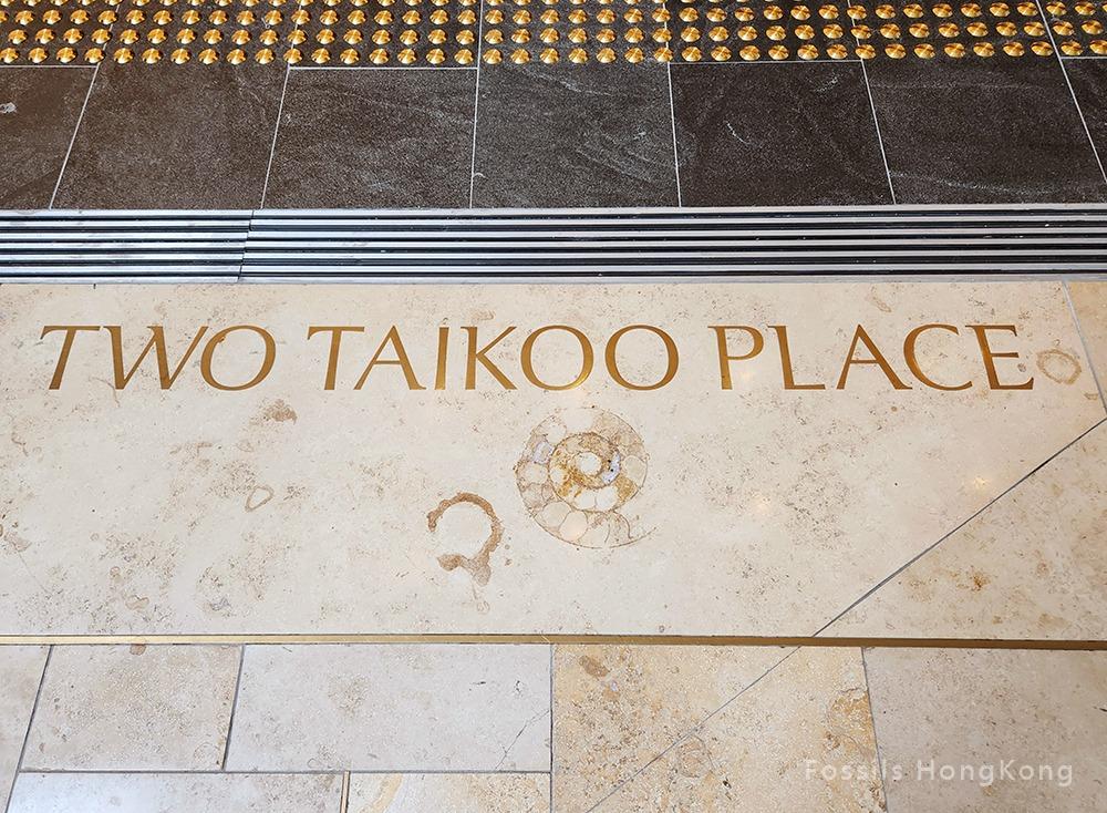 連接太古坊各大樓的弧形天橋雲石地板上藏着一枚菊石化石。(圖片來源:「Fossils HongKong」facebook專頁)