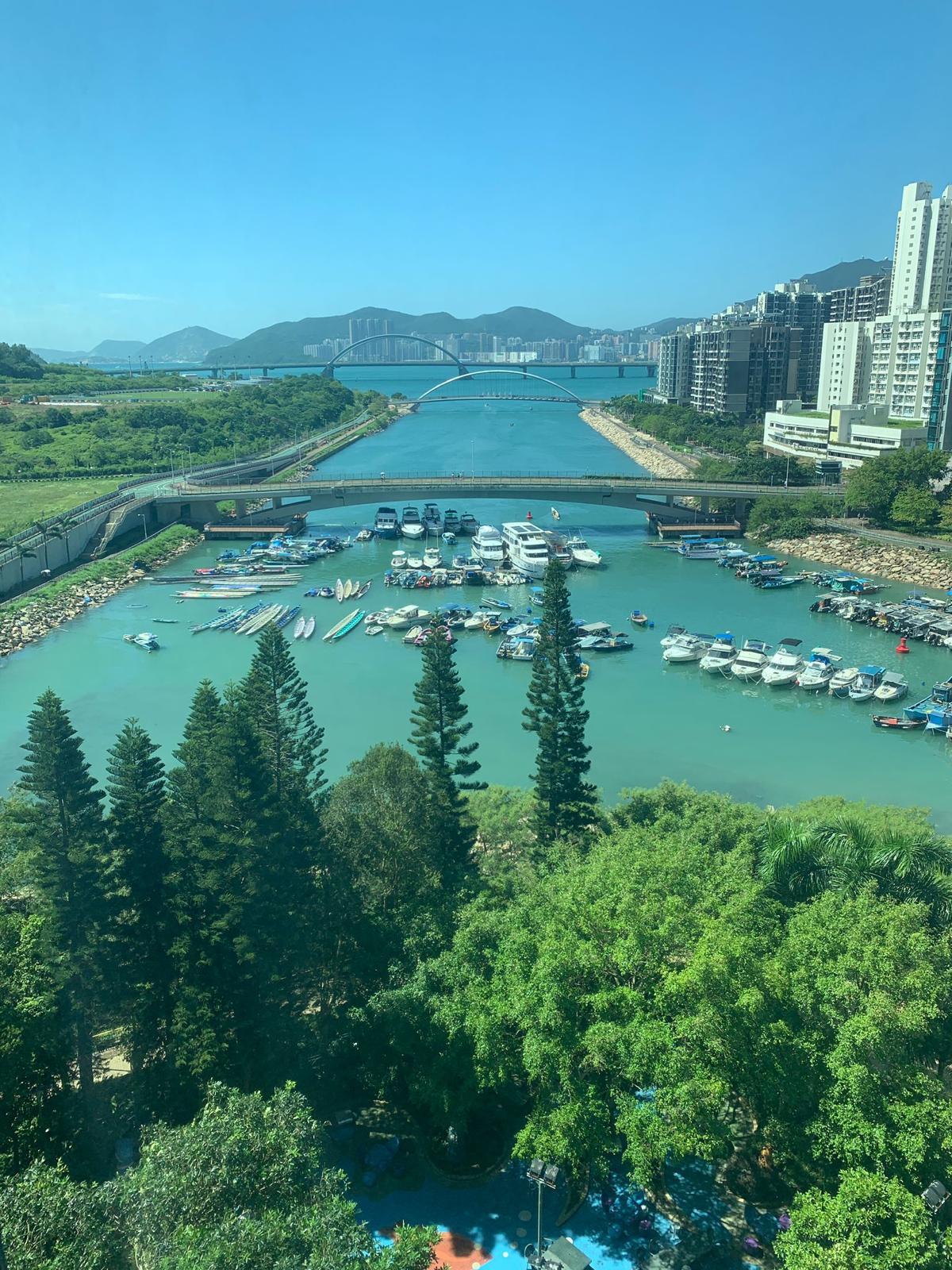 單位望向跨灣大橋一帶開揚海景,景致吸引。(代理提供)