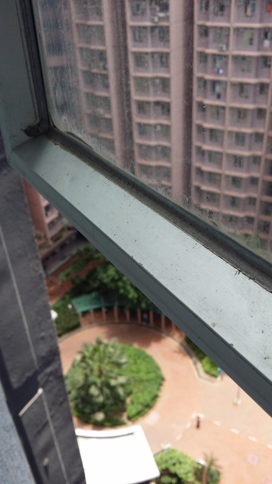 單位主要望樓景及俯望內園。(代理提供)