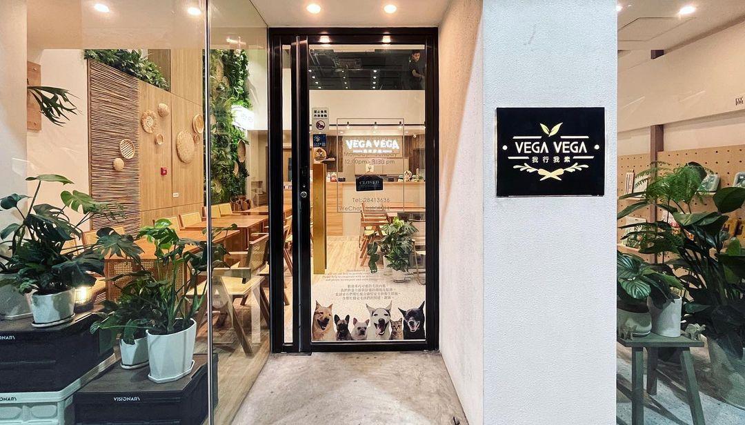 VEGA VEGA 我行我素