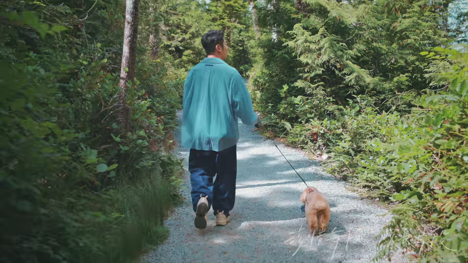 許廷鏗《自然光》MV到加拿大取景。