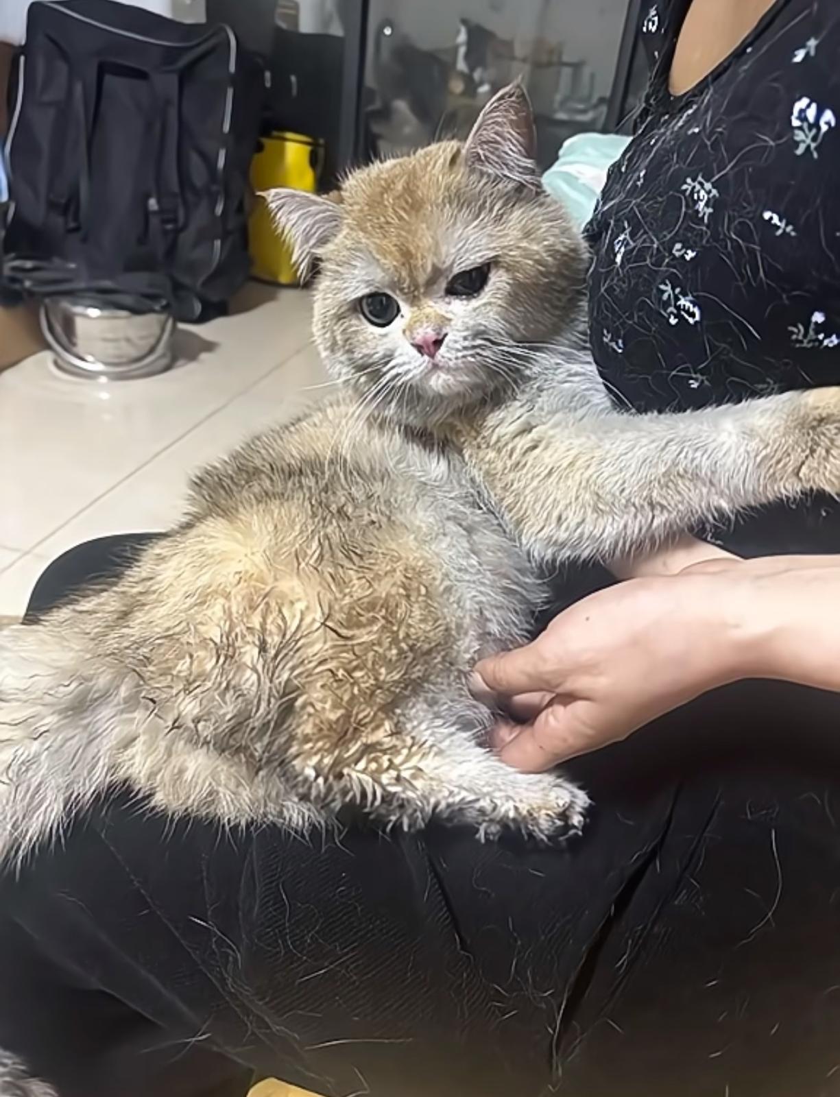 圖片來源:小紅書@金勾釣