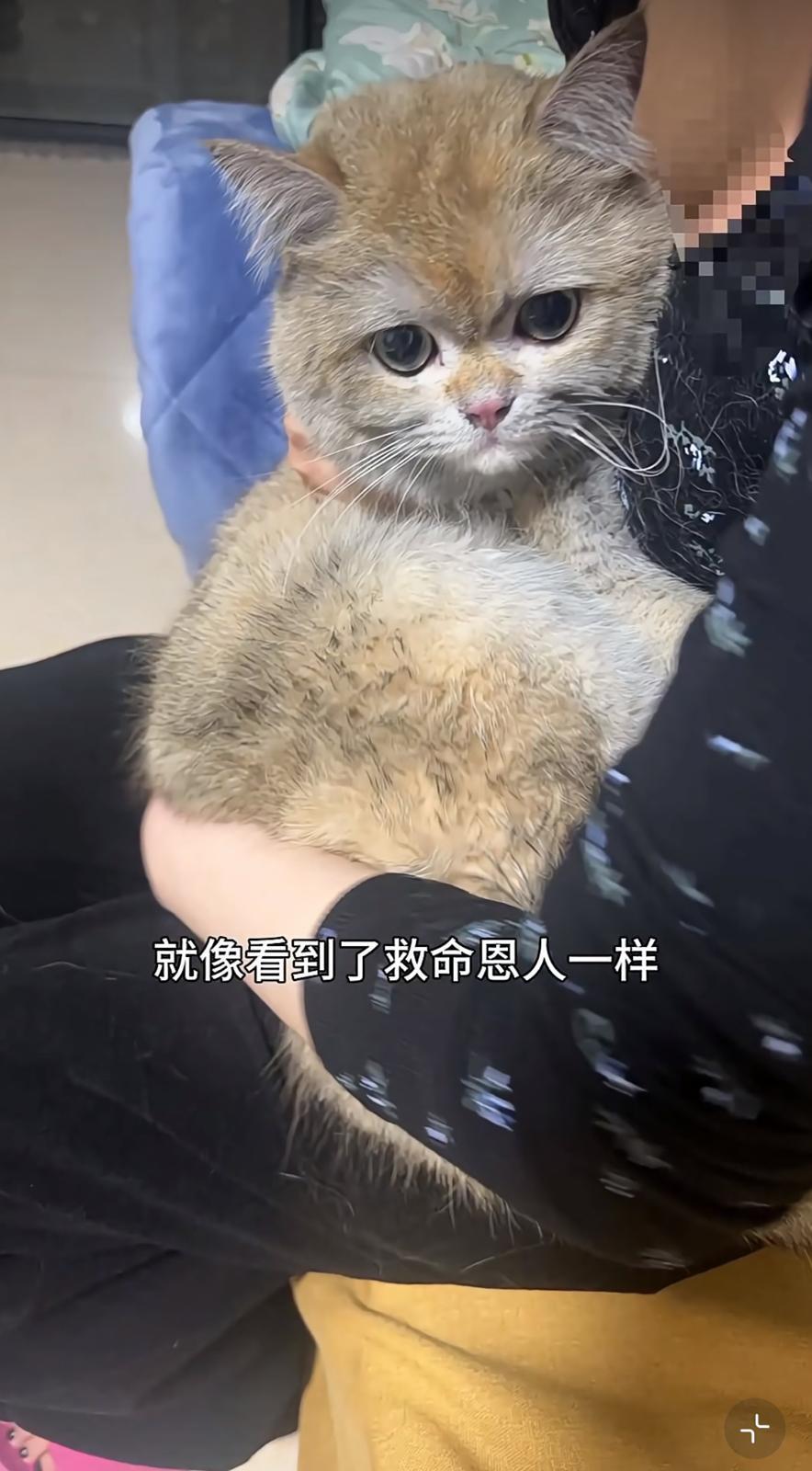 圖片來源:小紅書@金勾釣