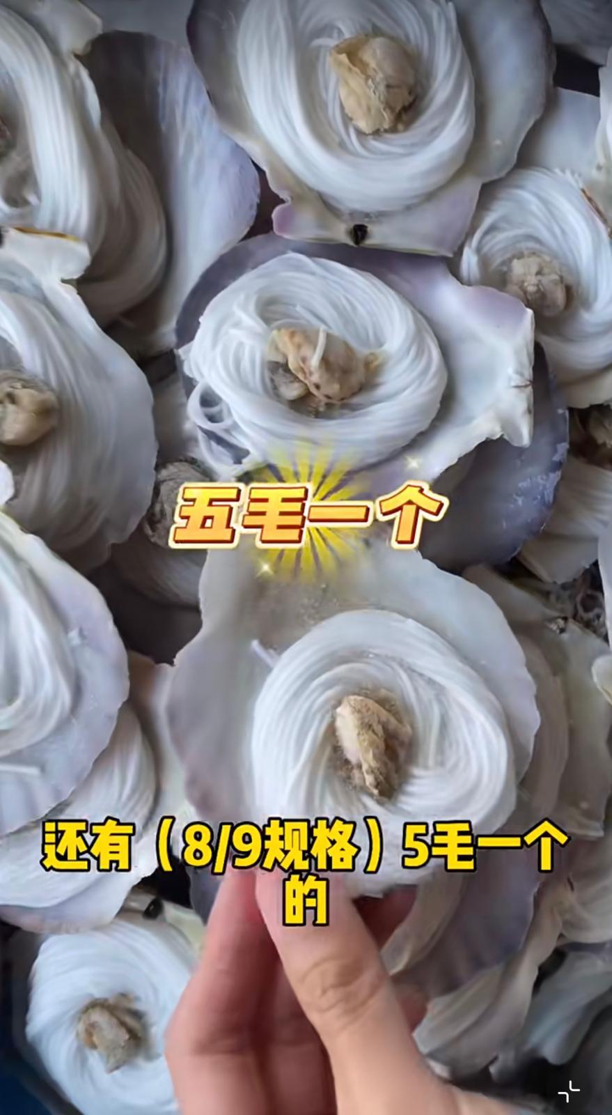 圖片來源:小紅書