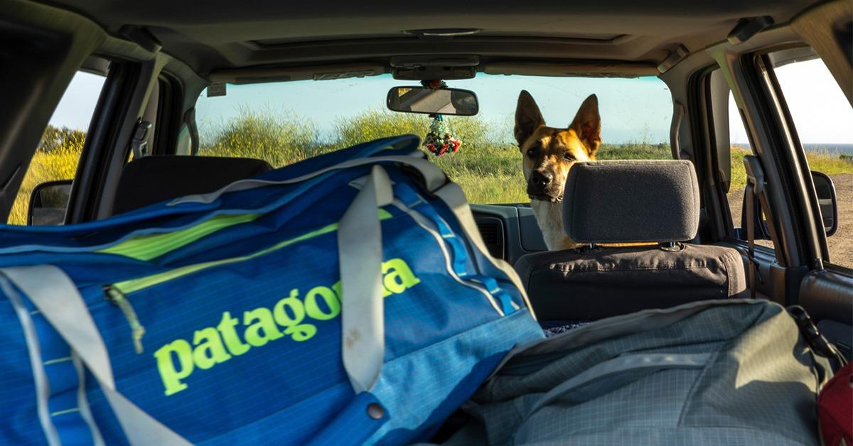 Patagonia Black Hole® 旅行袋除長途旅行外,同樣適合短線行山。